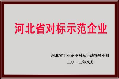 201208 河北省对标示范企业